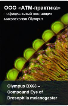 Olympus BX63 - идеальное решение для исследовательской микроскопии