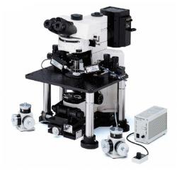 Микроскоп для электрофизиологии Olympus BX51WI